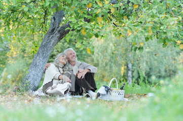 Poster - Portrait of elderly couple having a picnic in park