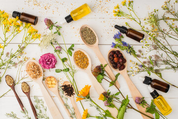 Wall Mural - top view of herbs in spoons near flowers and bottles on white wooden background, naturopathy concept