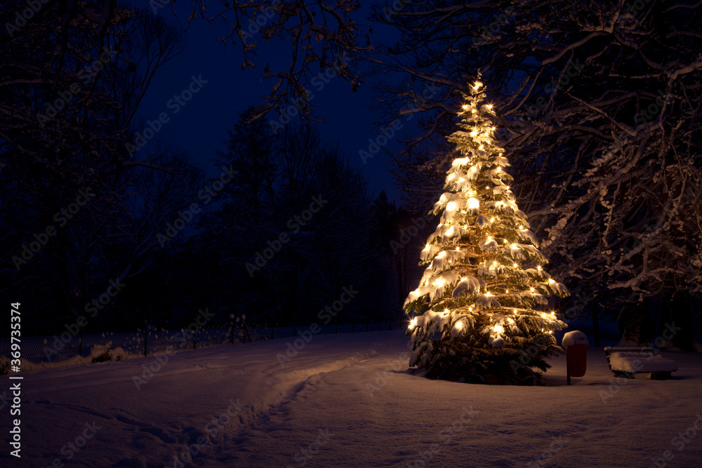 Beleuchteter Weihnachtsbaum im Schnee / Winter bei Nacht Stock-foto