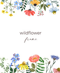 Wildflower portrait frame on white background. Beautiful end elegant watercolor floral border. Summer meadow illustration. Invitation template