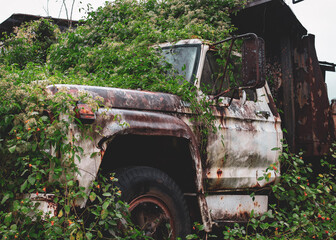 old abandoned truck