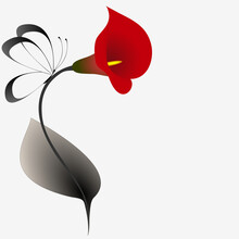 Floral Background With Red Calla Lilies And Butterflies