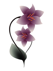 Wall Mural - Flower background with abstract lily.