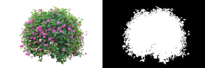 Wall Mural - Flower bush on white background. Clipping mask included.
