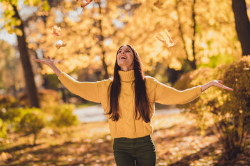 Wall Mural - Photo of positive cheerful girl tourist have exciting fall rest relax holiday outdoors hold hand catch air wind fly fall maple leaves wear knitted sweater jumper pullover