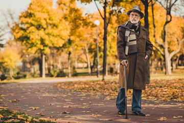 Canvas Print - Full length photo of retired grey hair curious grandpa man walk desert park stick serious search bench sit wear long coat headwear scarf spectacles autumn colors street road path outdoors