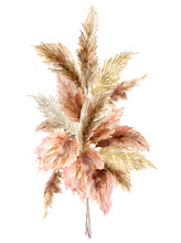 Watercolor Tropical Bouquet With Dry Pampas Grass And Gold Textures. Hand Painted Exotic Card Isolated On White Background. Floral Illustration For Design, Print, Fabric Or Background.