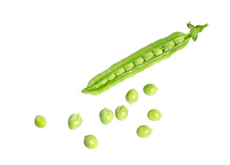 Sticker - Fresh green pea pod with beans.