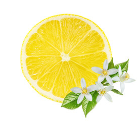 Wall Mural - Fresh lemon isolated on white background