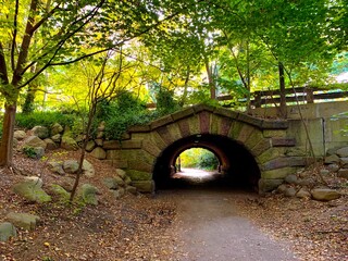 Botanical garden in the borough of Brooklyn, New York City. It was founded in 1910 and is located in Mount Prospect Park in central Brooklyn, adjacent to Prospect Park and the Brooklyn Museum.