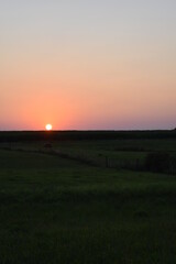 Poster - Summer Sunset