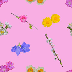 Wall Mural - Various cultivated and uncultivated flowers. Seamless pattern.