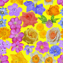 Poster - Various wild and cultivated flowers. Seamless pattern.