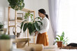 © New Africa - Mature woman taking care of houseplant at home. Engaging hobby
