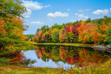 Colorful Foliage Tree Reflections In Calm Pond Water On A Beautiful Autumn Day In New England
