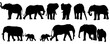 set of elephant silhouettes. Elephant shadow hand drawn. Flat vector illustration.