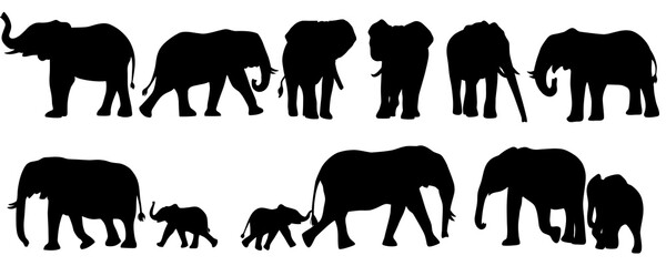 set of elephant silhouettes. elephant shadow hand drawn. flat vector illustration.
