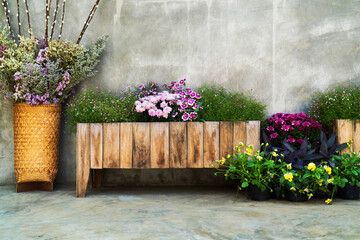 Closeup wood flowerpot with flower with concrete wall background. Wood panel flower pot with beautiful flowers decoration with cement wall texture