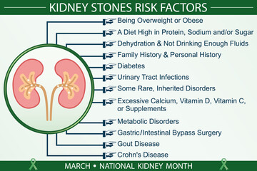 Kidney stones risk factors infographic vector. March national kidney month awareness month concept. Well-organized Eps 10 file.