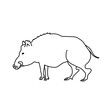 © Olga - Wild boar vector illustration. Outline drawing of a hog.