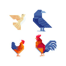 Birds, Pigeon, Crow, Rooster And Chicken. Pixel Art Set. Logo Design. Stickers And Embroidery Design. Cartoon Icon For Children's Mobile Applications, Book Illustration. Game Assets. Isolated Vector. 