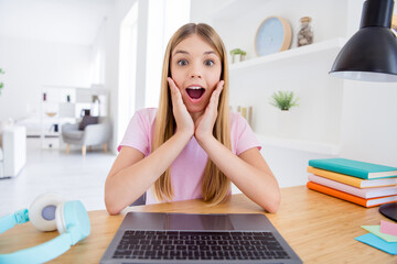 Sticker - Close up photo of amazed little kid girl sit cozy comfort table use laptop have online teacher conversation impress her good test grads she touch hands face in house indoors