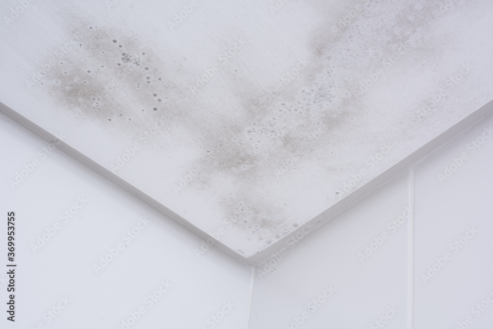 Start of mold build-up on bathroom ceiling, still with simple cleaning ...