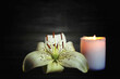 © izzzy71 - Condolence card. White candle and flower.