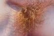 © Sonja Lekovic/Stocksy - ginger male armpit hair closeup