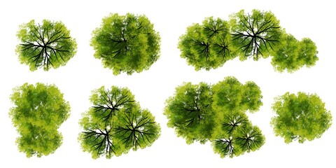 Wall Mural - collection of watercolor tree top view for landscape plan and architecture layout