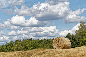 Sticker - Paysage des Vosges.