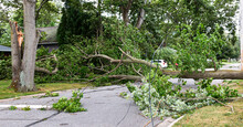 Trees And Electric Wires Laying Across Residential Street After Storm