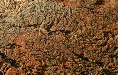 Wall Mural - Red brick texture with cracks and scuffs