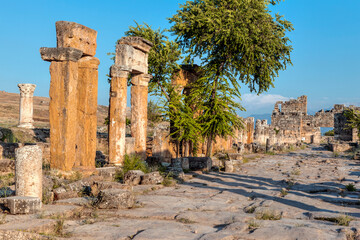 Wall Mural - The ruins of the ancient city Hierapolis -Pamukkale, Turkey