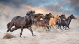 Fototapeta Do przedpokoju - Horse herd  galloping on sandy dust against sky