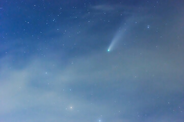 Wall Mural - neowise comet