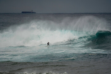 Wall Mural - surfer catching a massive wave at Coogee beach/ Wedding Cake Island in Australia 