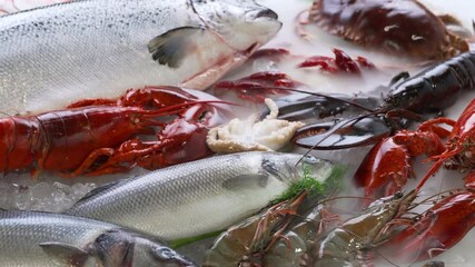 Wall Mural - Top view of variety of fresh fish and seafood on ice with dry ice smoke.