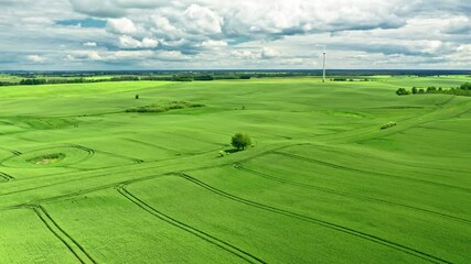 Wall Mural - aerial view of green field in poland, europe
