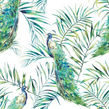Watercolor Peacock Seamless Pattern. Repeating Texture With Palm Tree Leaves And Exotic Birds