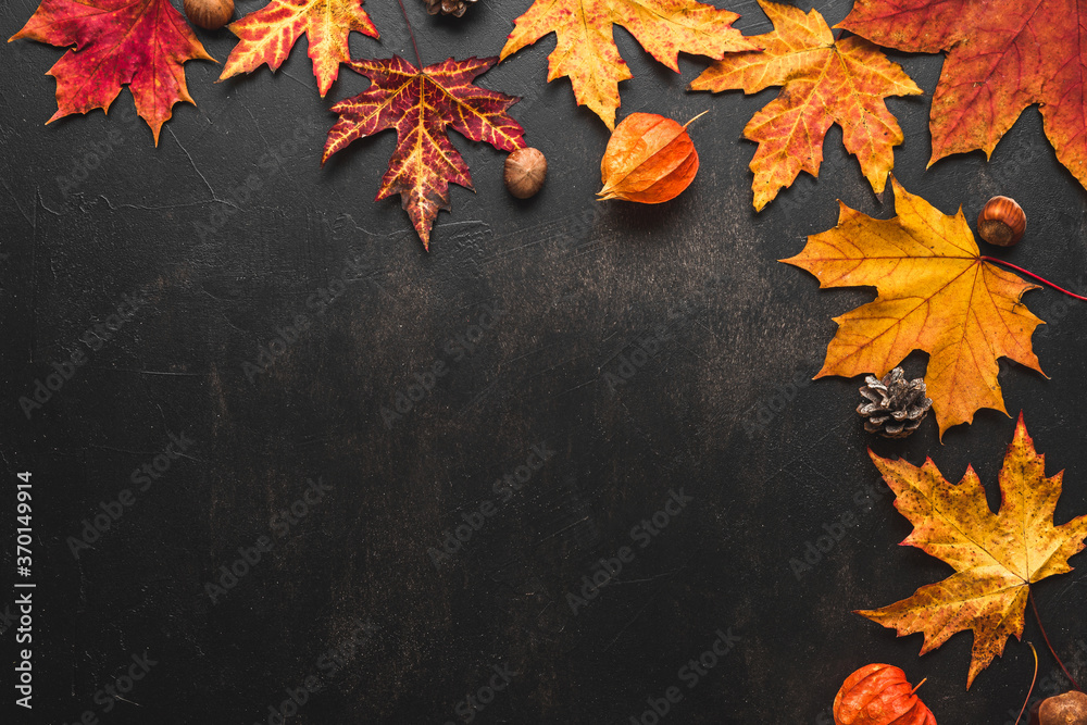 Autumn composition made of fall leaves, flowers, nuts, pine cones on black background. Flat lay, top view - obrazy, fototapety, plakaty 