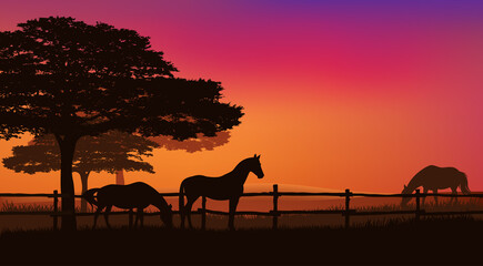 herd of grazing horses behind wooden fence - sunset field and trees vector silhouette landscape