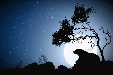 Bear under tree on night. Wild animal silhouette. Moon in starry sky