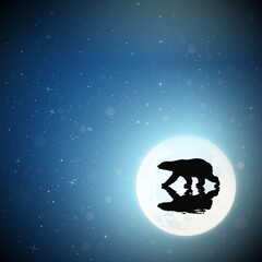 Sticker - lonely polar bear walking on frozen lake on moonlight night. arctic landscape with animal reflected 