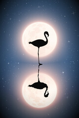 Sticker - Flamingo silhouette. Bird reflected in water. Moon in night starry sky