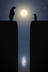 Sticker - polar bears family on cracked iceberg on moonlight night. animal mother and baby silhouettes on edge