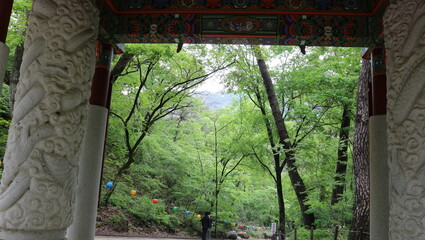 Wall Mural - window in the garden