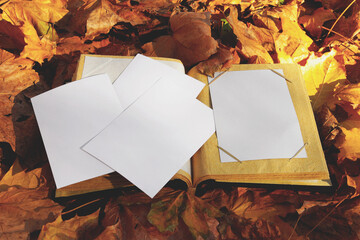 Album for photos in bright autumn foliage