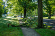 © ALAN - A broken tree branch seen blocking the sidewalk after a severe storm