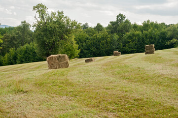 Wall Mural - Bales of straw on mown mountain meadow